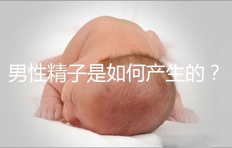 男性精子是如何產生的？