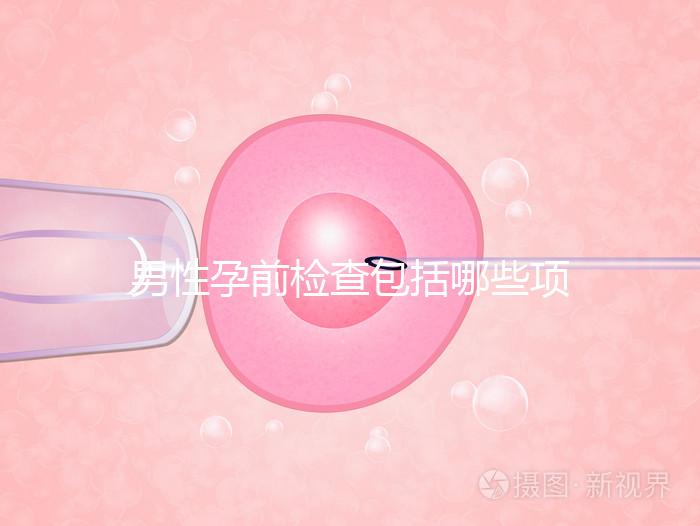 男性孕前檢查包括哪些項目？