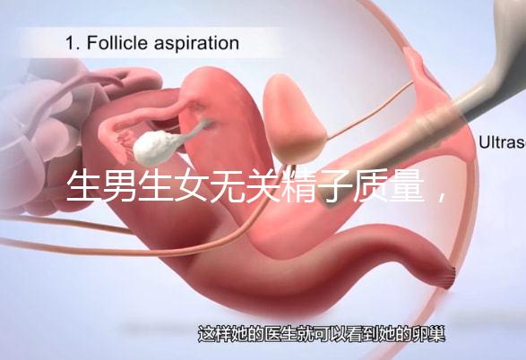 生男生女無關(guān)精子質(zhì)量,分享成功懷男孩的4個細(xì)節(jié)經(jīng)驗(yàn)