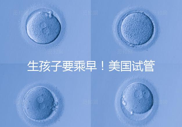 生孩子要乘早！美國試管嬰兒成功率再高也非“萬能藥”