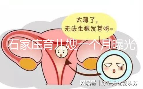 石家莊育兒嫂一個(gè)月曝光多少錢？馬寶:公司級(jí)別越高越貴