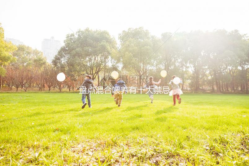 盤(pán)點(diǎn)混合喂養(yǎng)有十大禁忌！你能知道一頓母乳和一頓奶粉嗎？