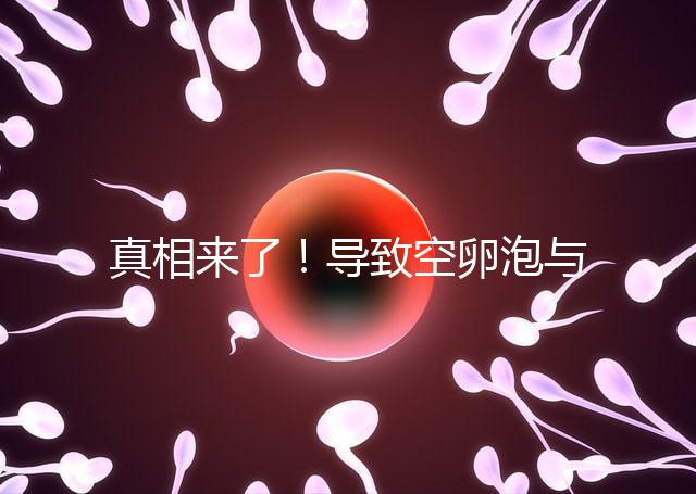 真相來了！導致空卵泡與多囊卵巢有關，區別在于以下四點，多研究