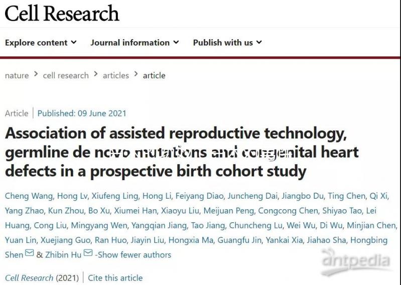 白術(shù)的功效(白術(shù)對(duì)男性性功能的效果)