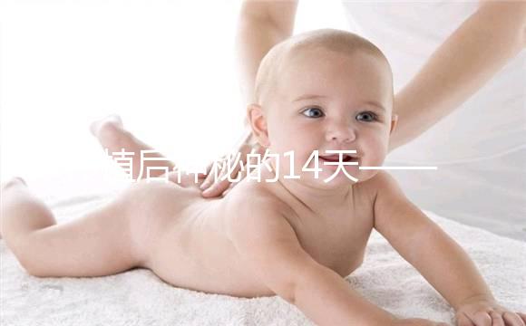 移植后神秘的14天——你的胚胎都發生了哪些變化?