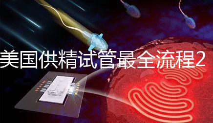 美國供精試管最全流程2024,時(shí)間長短關(guān)鍵看身體情況