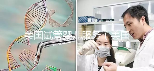 美國(guó)試管嬰兒服務(wù)（美國(guó)試管嬰兒服務(wù)套餐）