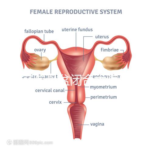 美容院骨盆閉合術騙局公開，不但沒用還會造成損傷要小心