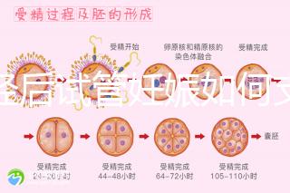 絕經后試管妊娠如何支持黃體戳，醫生：掌握時間很重要