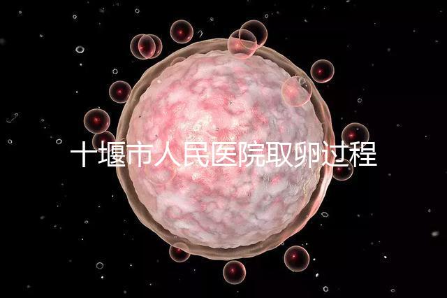 十堰市人民醫(yī)院取卵過(guò)程詳解，三種情況可全身麻醉