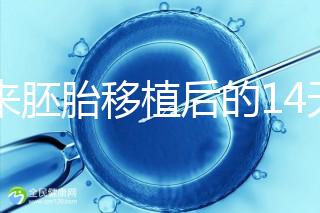 原來胚胎移植后的14天，這些信號預(yù)示著床成功