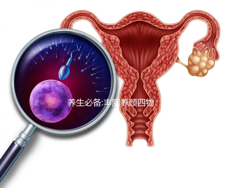 養生必備:豐胸養顏四物湯做法視頻介紹