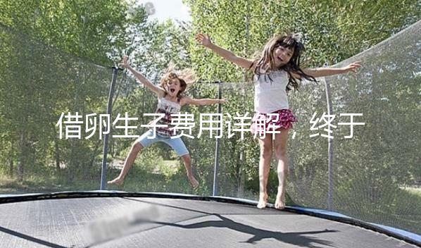 借卵生子費(fèi)用詳解，終于知道用別人卵子做試管要多少錢了