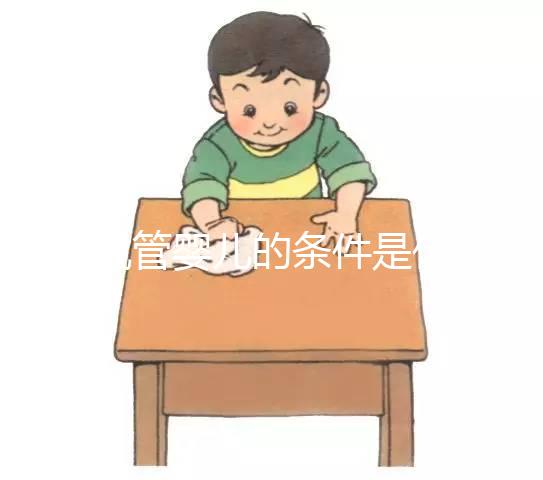 做試管嬰兒的條件是什么?
