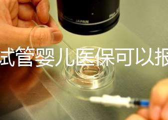 做試管嬰兒醫(yī)保可以報銷多少比例(做試管嬰兒醫(yī)保可以報銷多少比例的)