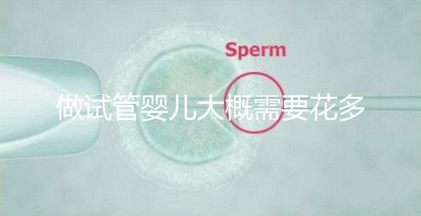 做試管嬰兒大概需要花多少錢(qián)(做試管嬰兒大概需要花多少錢(qián)呢)