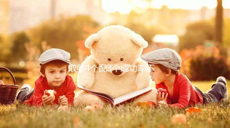 取卵4個(gè)配3個(gè)成功率不低,養(yǎng)出優(yōu)質(zhì)胚胎做試管好孕機(jī)會(huì)更大