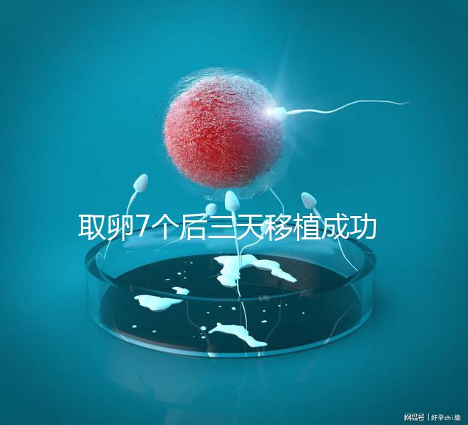 取卵7個后三天移植成功率真不低，關鍵要滿足這5大條件