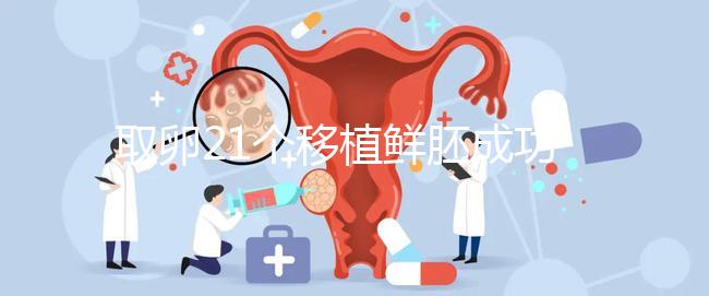 取卵21個(gè)移植鮮胚成功率真不低，前提：等卵巢恢復(fù)后再手術(shù)