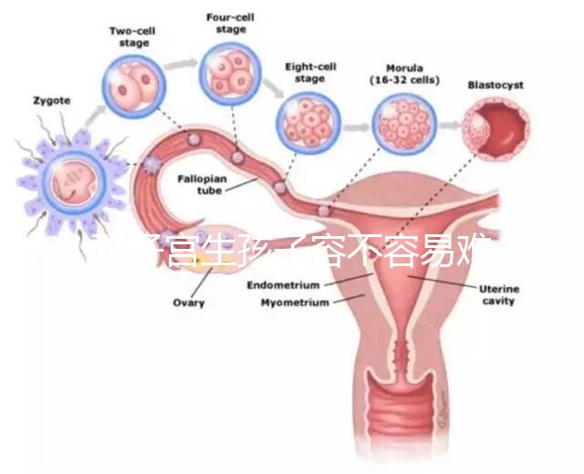 雙子宮生孩子容不容易難產(chǎn)看情況,注意這幾點(diǎn)也能順利抱娃