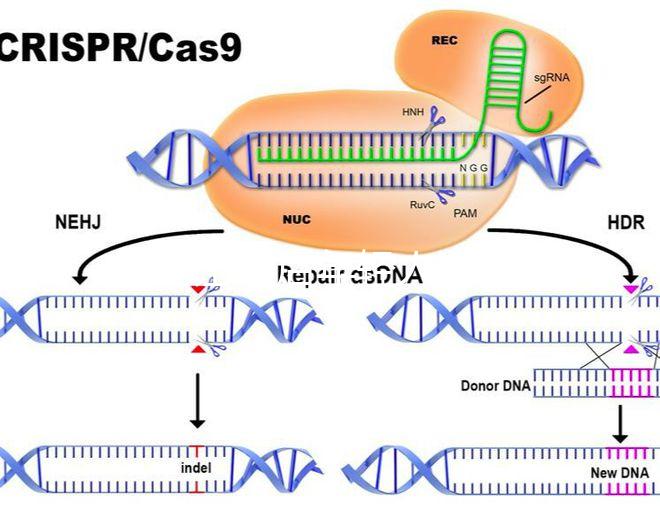 加班讓90后年輕人沒(méi)時(shí)間結(jié)婚生娃?網(wǎng)友:貧窮是避孕良方