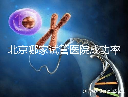 北京哪家試管醫院成功率最高?