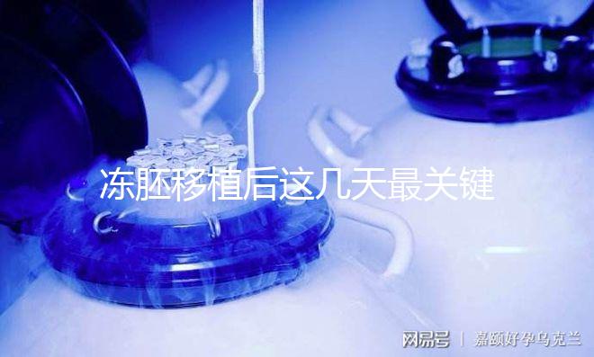 凍胚移植后這幾天最關(guān)鍵！一文揭秘重要原因