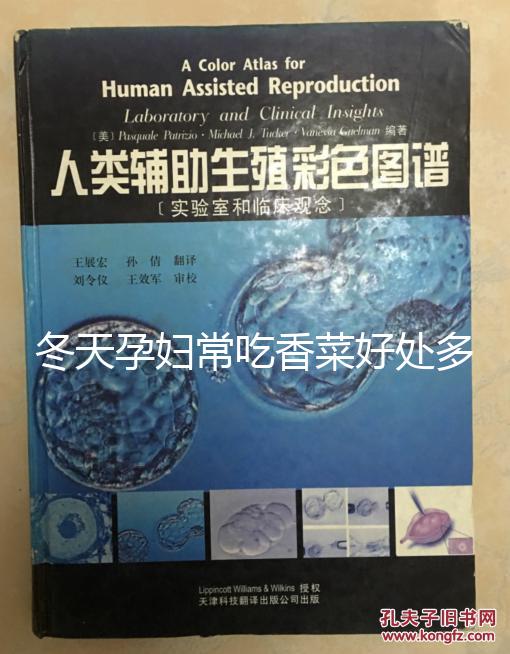 冬天孕婦常吃香菜好處多，搓成丸子味道更佳