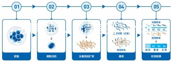 別再掉入“清宮圖”的坑中！備孕不應(yīng)錯(cuò)過(guò)女性最佳生育年齡