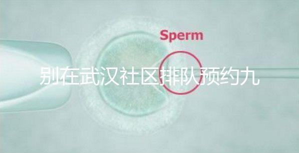 別在武漢社區(qū)排隊(duì)預(yù)約九價(jià)hpv疫苗了,在官方微信上也能搞定