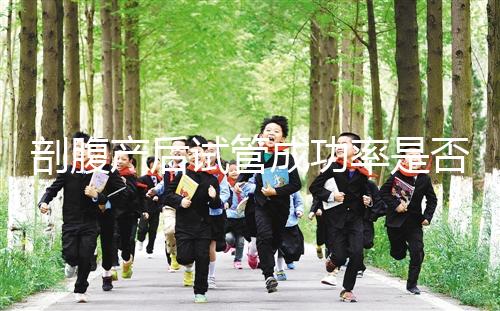 剖腹產(chǎn)后試管成功率是否很低？適當(dāng)?shù)恼{(diào)理影響真的很小