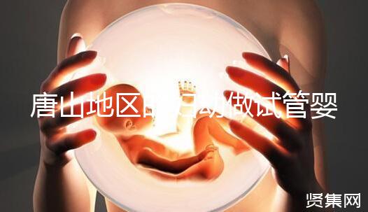 唐山地區(qū)的婦幼做試管嬰兒多少錢？2023最新試管價(jià)格表