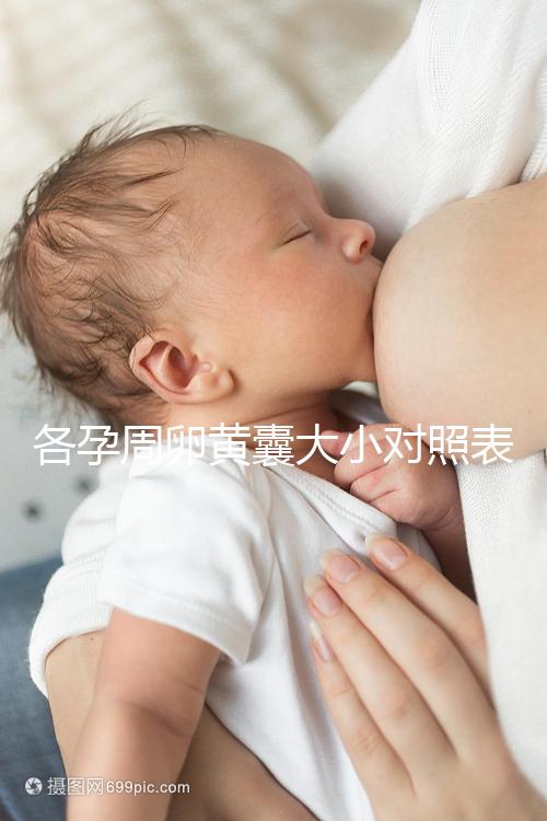 各孕周卵黃囊大小對照表，偏大、偏小都不正常