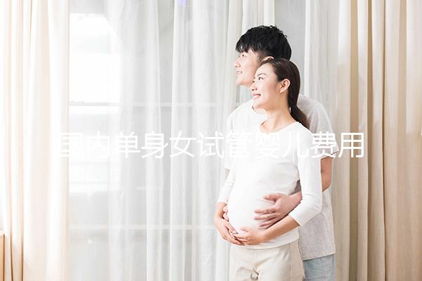 國內(nèi)單身女試管嬰兒費(fèi)用大概要多少錢？