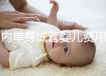 國內(nèi)單身試管嬰兒費用大概要多少錢一次?附費用明細!