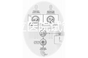 國內公立醫院試管嬰兒費用概覽:一般要花多少錢?