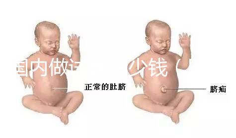 國內做試管多少錢(國內做試管多少錢啊)