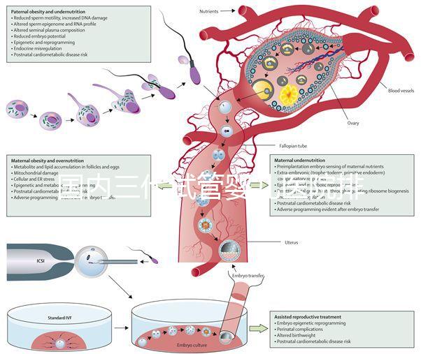 國內三代試管嬰兒醫院排名已更新，2025年上榜醫院是這幾家！