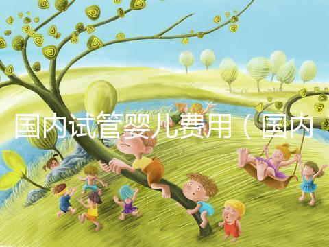 國內(nèi)試管嬰兒費(fèi)用（國內(nèi)試管嬰兒費(fèi)用多少）