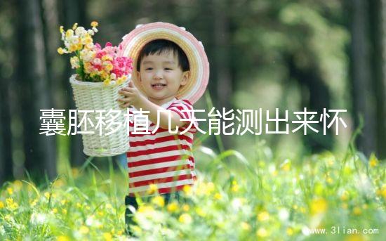 囊胚移植幾天能測出來懷孕？