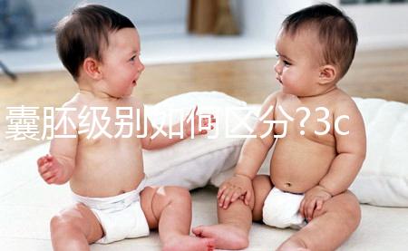 囊胚級(jí)別如何區(qū)分?3cb和3bc等級(jí)相仿,有移植需要