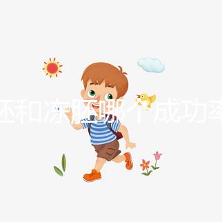 囊胚和凍胚哪個成功率高?試管移植選擇策略解析