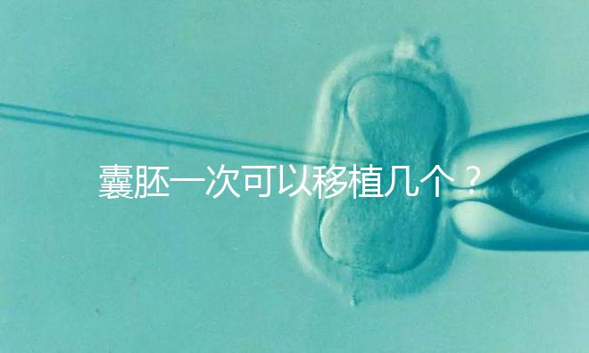 囊胚一次可以移植幾個？
