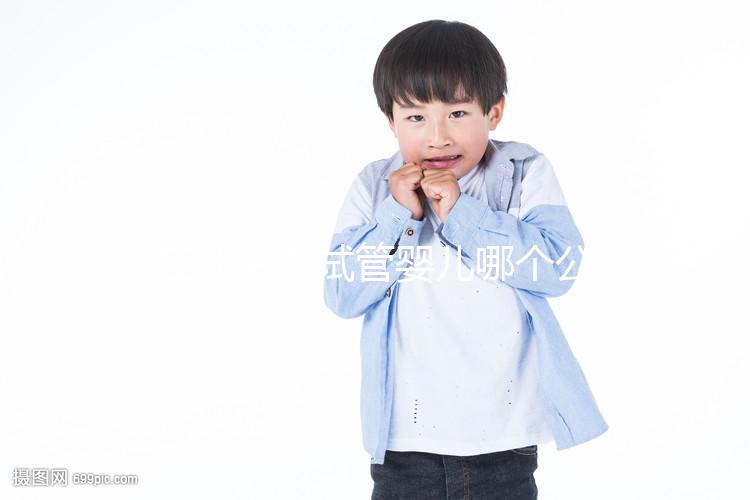 在北京做試管嬰兒哪個(gè)公立醫(yī)院好？揭秘北京十大知名試管名單