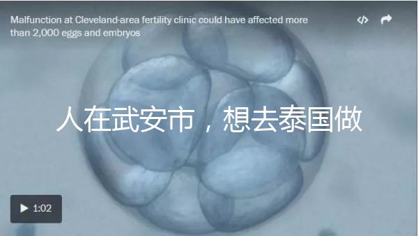 人在武安市，想去泰國做試管嬰兒生男孩要花多少錢？