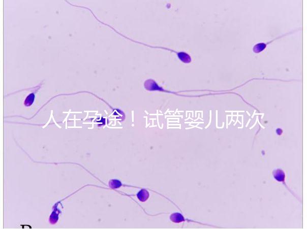 人在孕途！試管嬰兒兩次胎停育,了解這幾招能降低流產(chǎn)風(fēng)險(xiǎn)