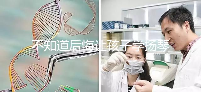 不知道后悔讓孩子學(xué)揚(yáng)琴怎么辦看這,年齡是決定因素