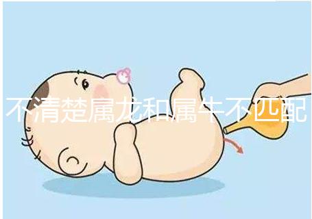 不清楚屬龍和屬牛不匹配戳，再一起看財(cái)運(yùn)就夠了