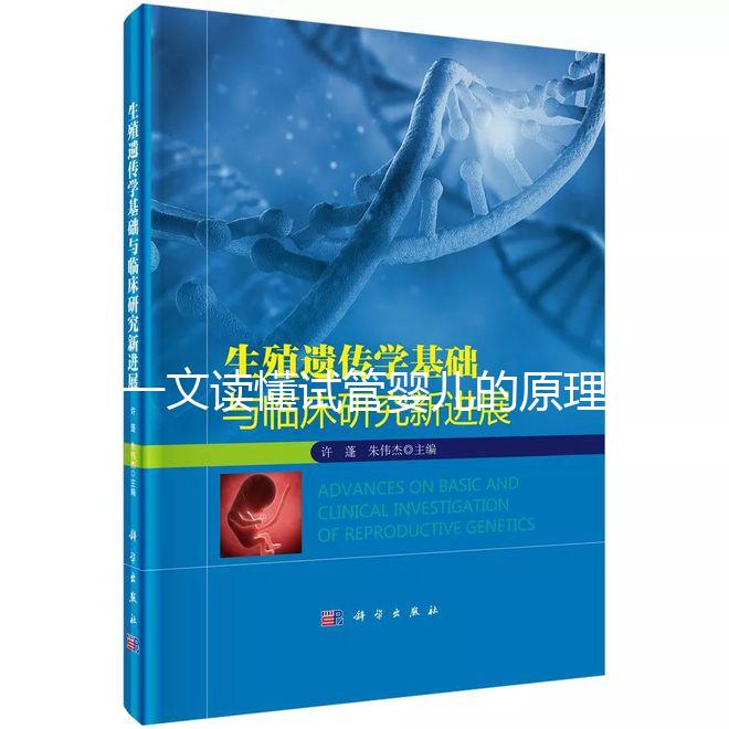 一文讀懂試管嬰兒的原理:點亮生命希望的科技之光