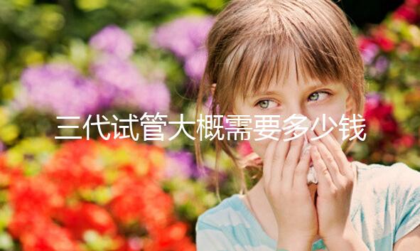三代試管大概需要多少錢？